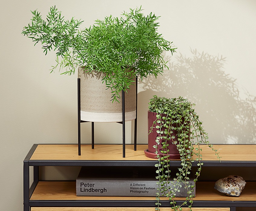 Två växtkrukor på ett modernt TV-stativ, en med en spetsig växt och den andra med en hängande växt