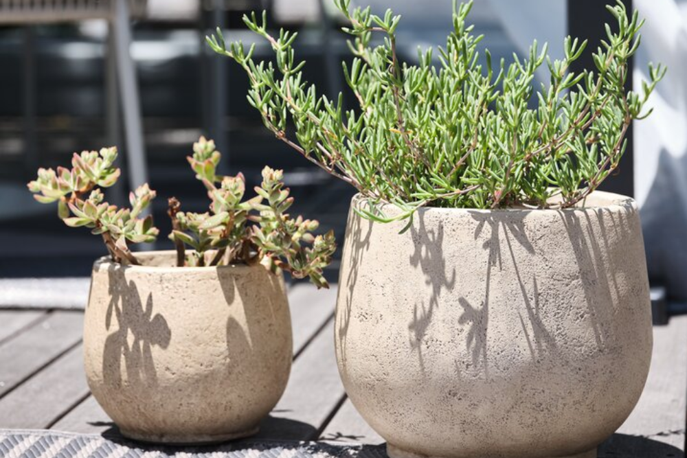 Spara upp till 60% på trädgårdskrukor