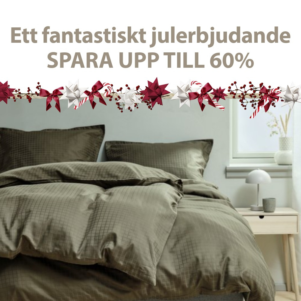 ett fantastiskt julerbjudande