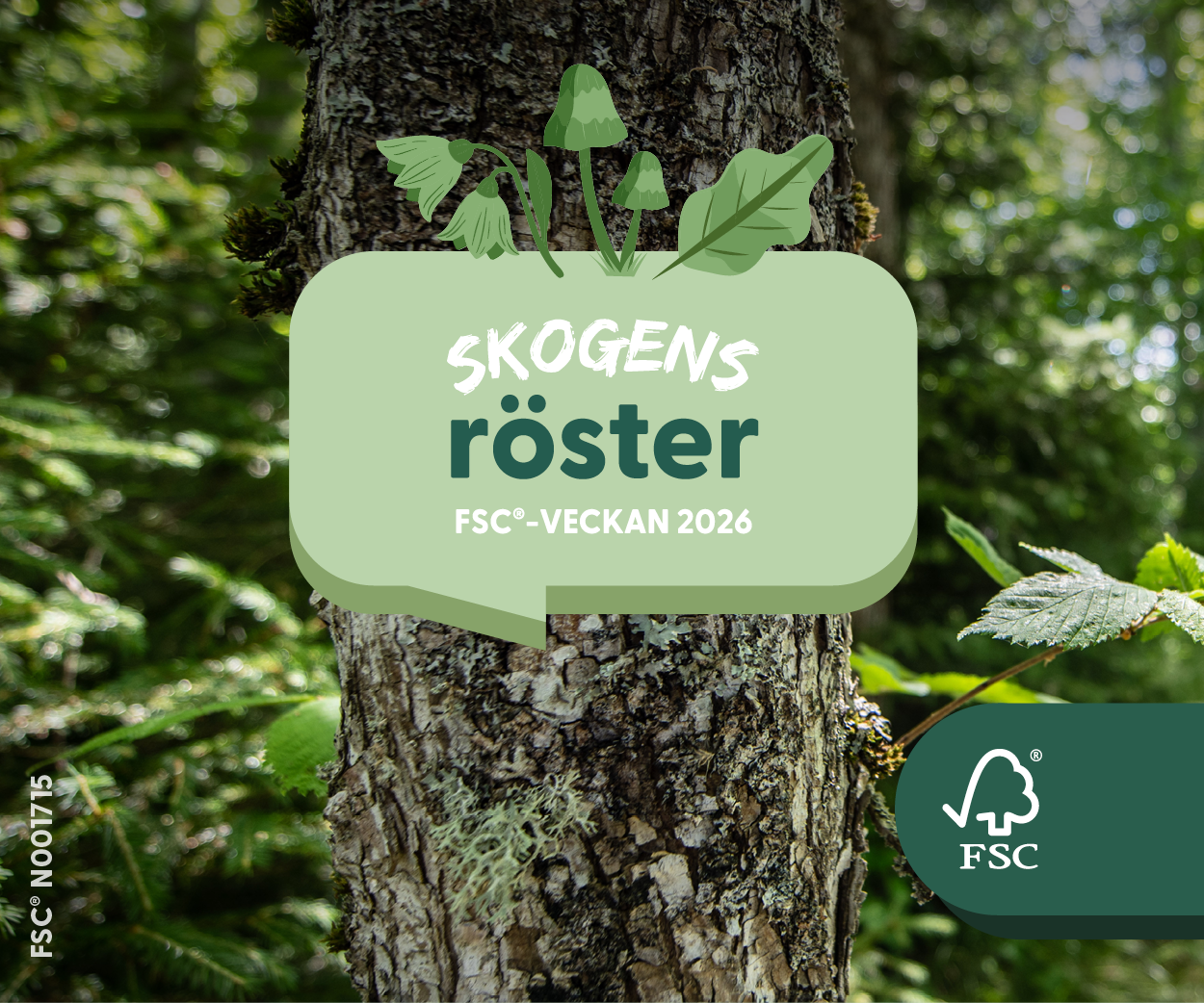 Skogens röster. FSC®-veckan 2026