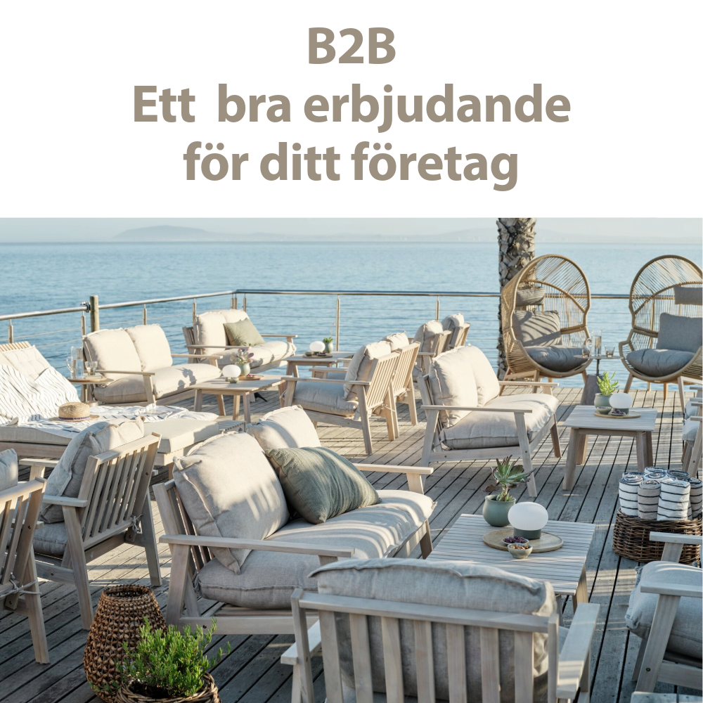  ett bra erbjudande för ditt företag