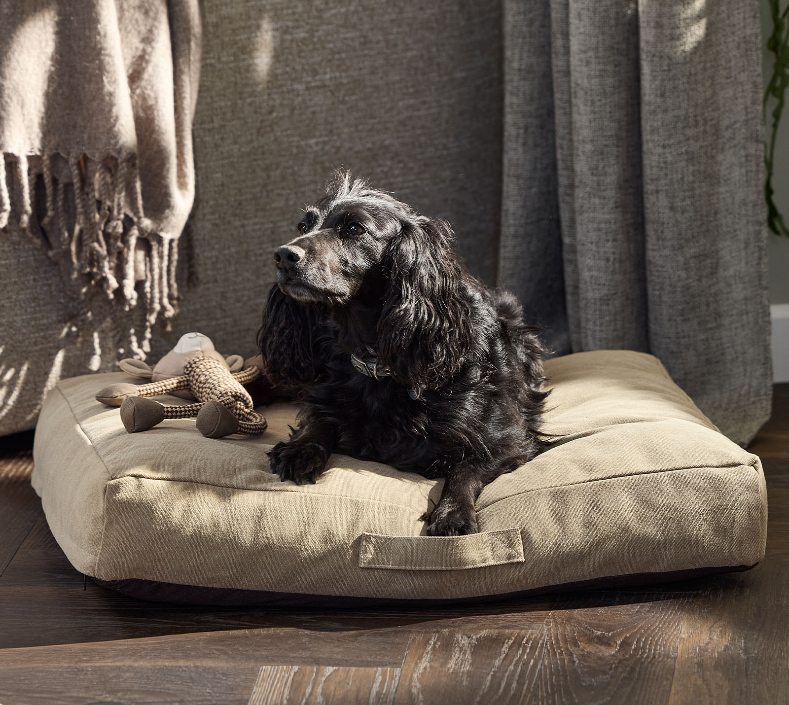 KVARTSIT hundbädd med memory foam-fyllning, finns i två storlekar Bekväm hundbädd med memory foam-fyllning i khakifärg med svart hund
