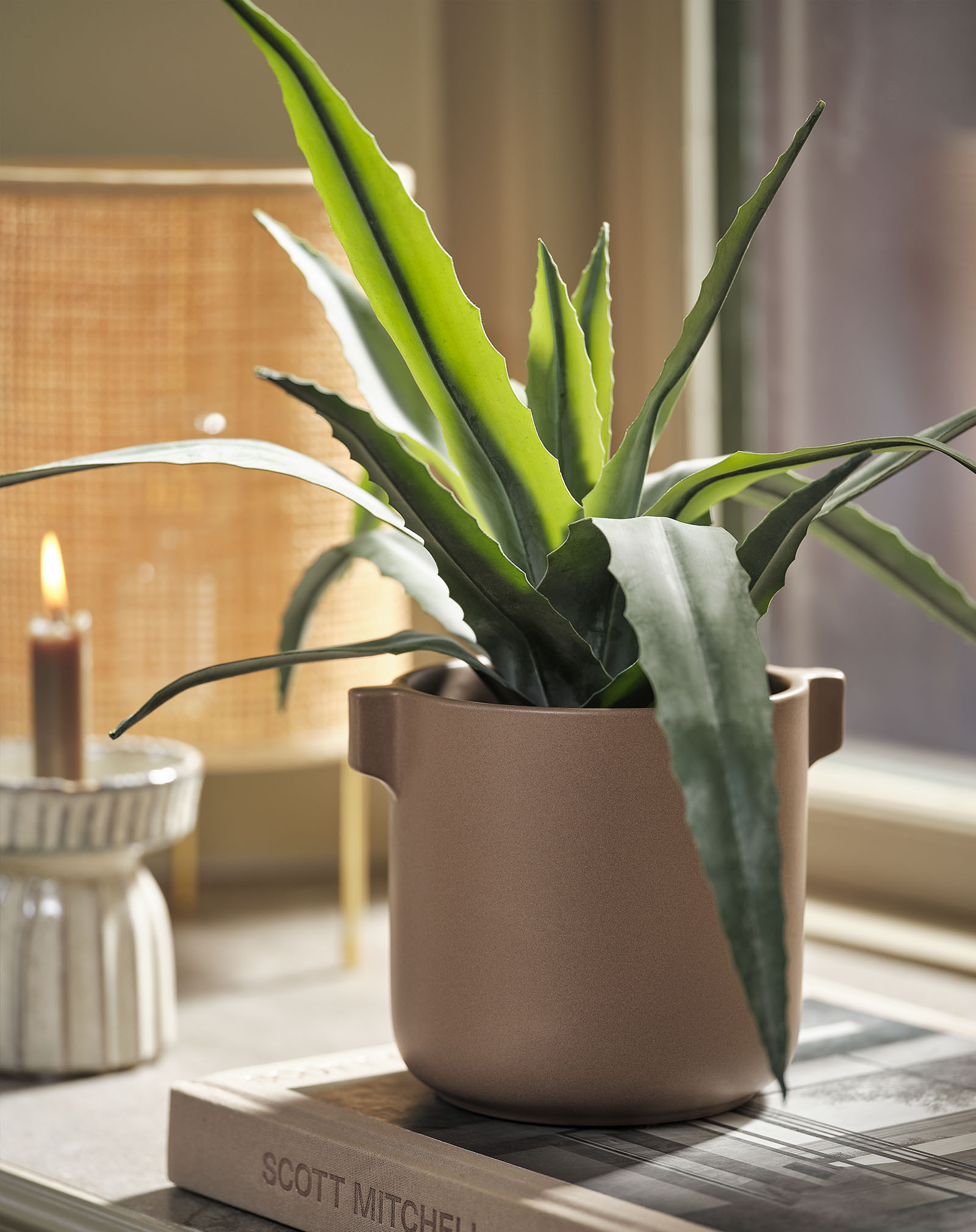 Konstväxt av en djupgrön aloe vera-växt i en blomkruka