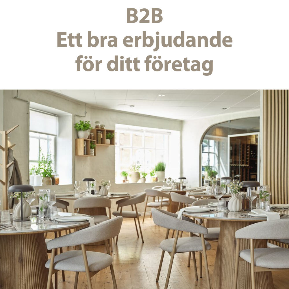 B2B- Ett bra erbjudande för ditt företag B2B- Ett bra erbjudande för ditt företag