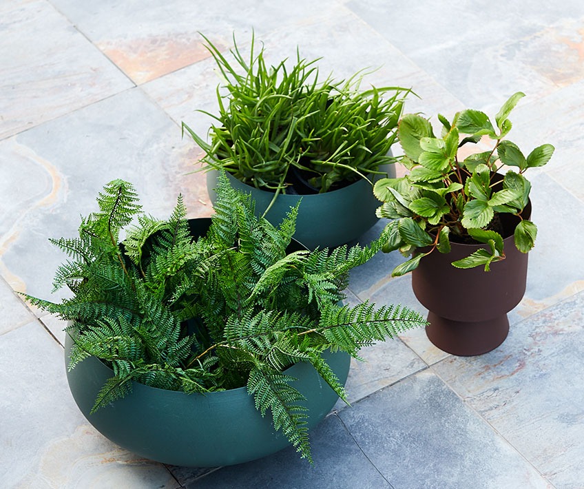 Large HAVLIT garden pots and JOHN flower pot Large garden pots and flower pot on the ground