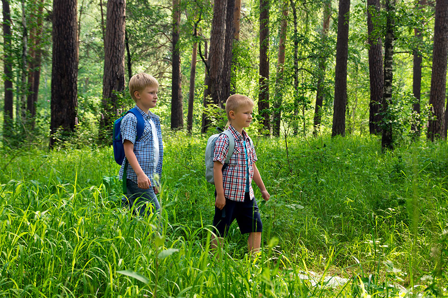 Två pojkar som går i en skog med ryggsäckar
